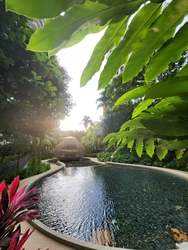 Tree House (D23), Condominium #380810931